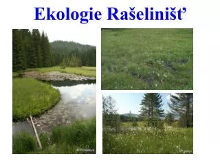 ekologie ra elini