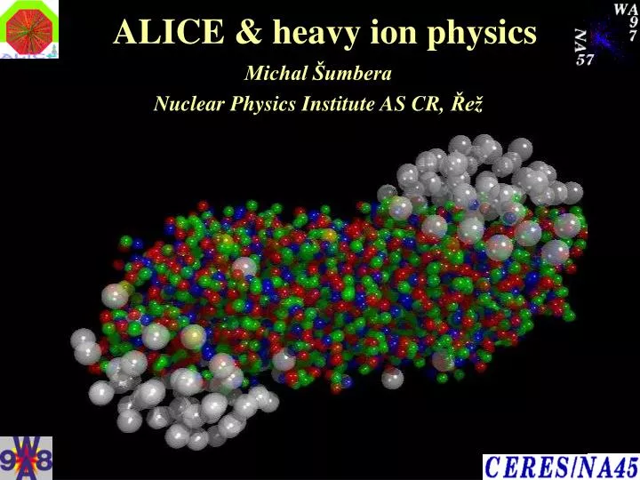 alice heavy ion physics