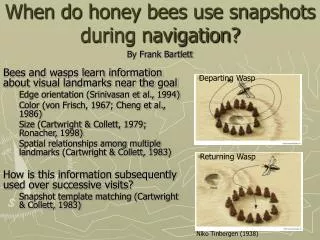 When do honey bees use snapshots during navigation?