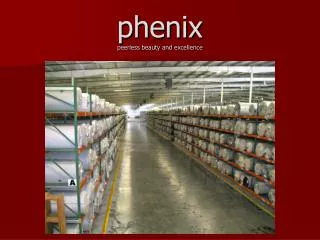 phenix peerless beauty and excellence