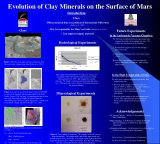 Evolution of Clay Minerals on the Surface of Mars