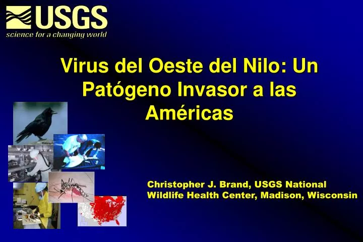 virus del oeste del nilo un pat geno invasor a las am ricas