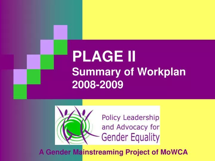 plage ii summary of workplan 2008 2009