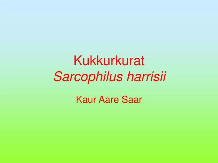 kukkurkurat sarcophilus harrisii