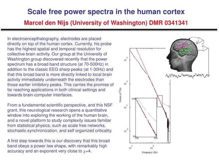 scale free power spectra in the human cortex marcel den nijs university of washington dmr 0341341