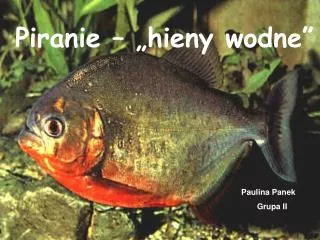 piranie hieny wodne