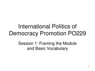 International Politics of Democracy Promotion PO229