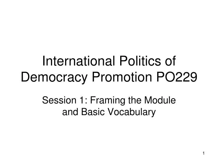 international politics of democracy promotion po229