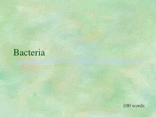 Bacteria