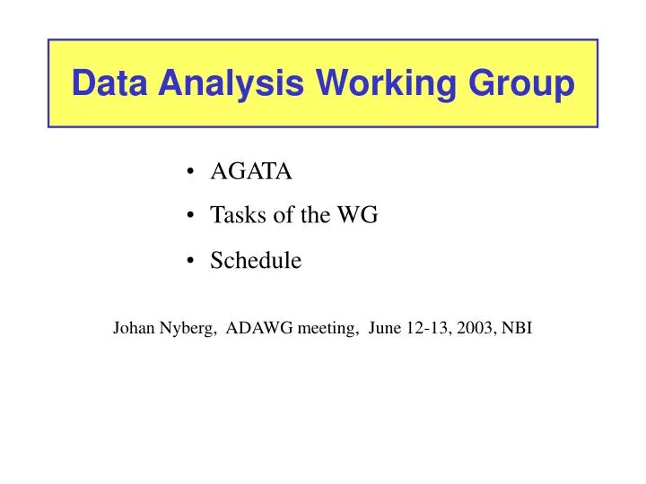 data analysis working group