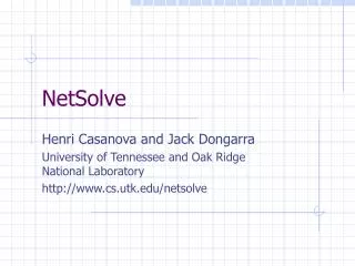 NetSolve
