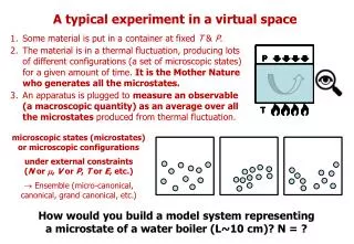 A typical experiment in a virtual space