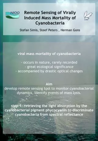 viral mass mortality of cyanobacteria occurs in nature, rarely recorded