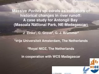 Massive Porites sp. corals as indicators of historical changes in river runoff: