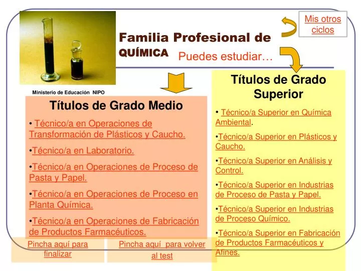 familia profesional de qu mica