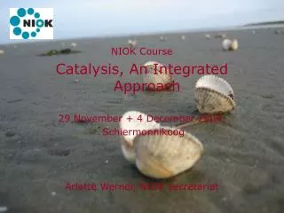 NIOK Course Catalysis, An Integrated Approach 29 November + 4 December 2009, Schiermonnikoog