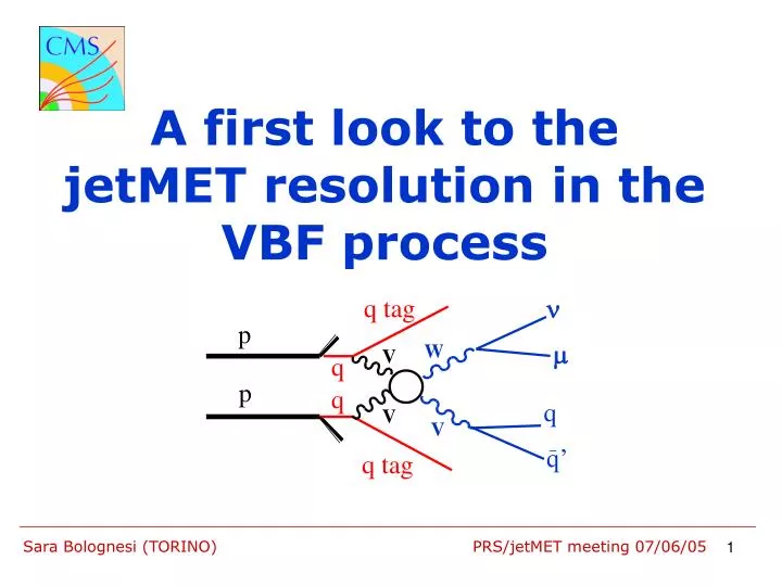 a first look to the jetmet resolution in the vbf process