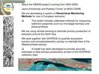 About the HIMOM project (running from 2002-2005) Jacco Kromkamp and Rodney Forster at NIOO-CEME