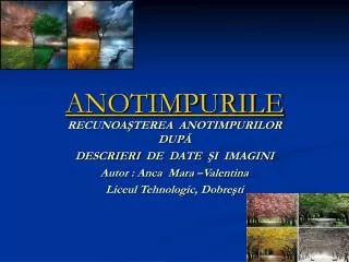 anotimpurile