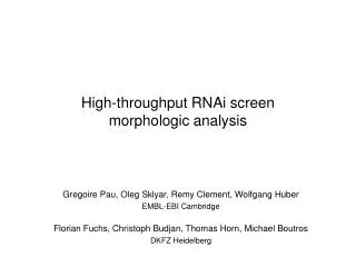 High-throughput RNAi screen morphologic analysis