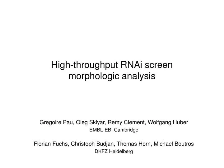 high throughput rnai screen morphologic analysis