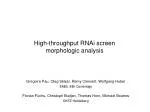 High-throughput RNAi screen morphologic analysis - slide 1