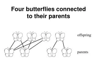 Four butterflies connected to their parents