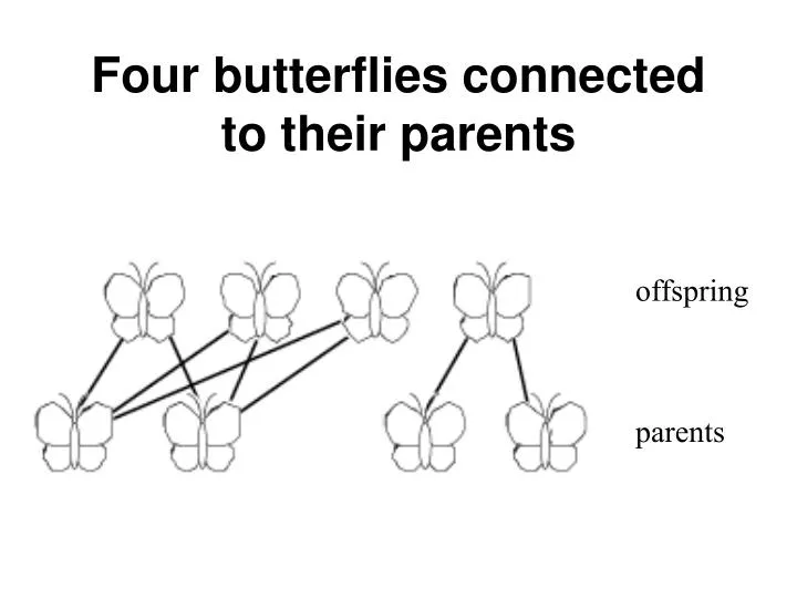 four butterflies connected to their parents
