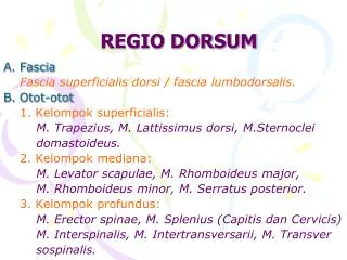regio dorsum