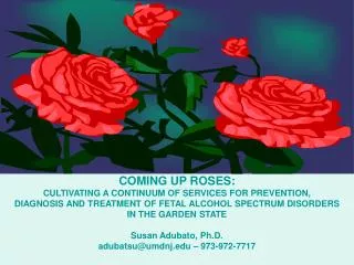COMING UP ROSES: CULTIVATING A CONTINUUM OF SERVICES FOR PREVENTION,
