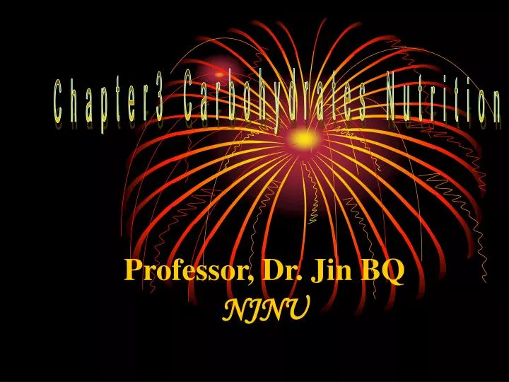 professor dr jin bq njnu
