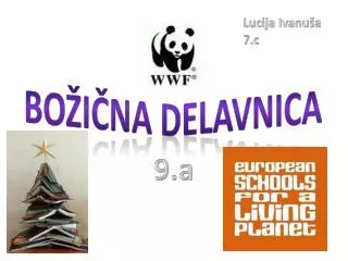 bo i na delavnica