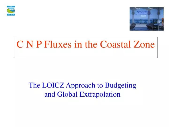 c n p fluxes in the coastal zone