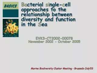 Ba cterial si ngle- c ell approaches to the relationship between diversity and function