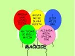 MAČKICE - slide 1