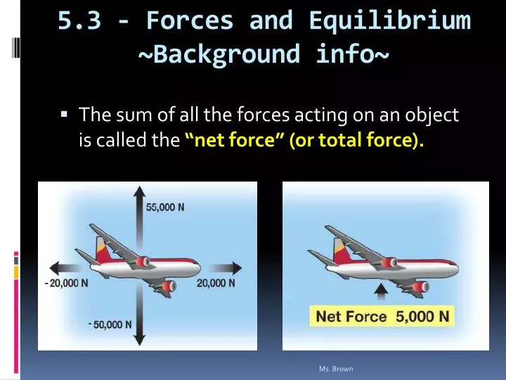 5 3 forces and equilibrium background info