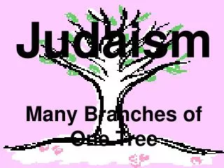 Judaism Many Branches of One Tree