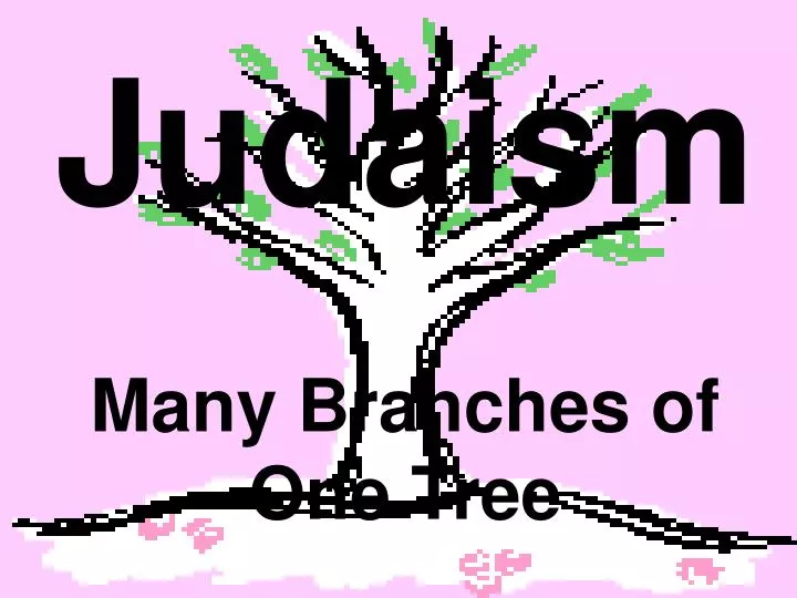 judaism many branches of one tree