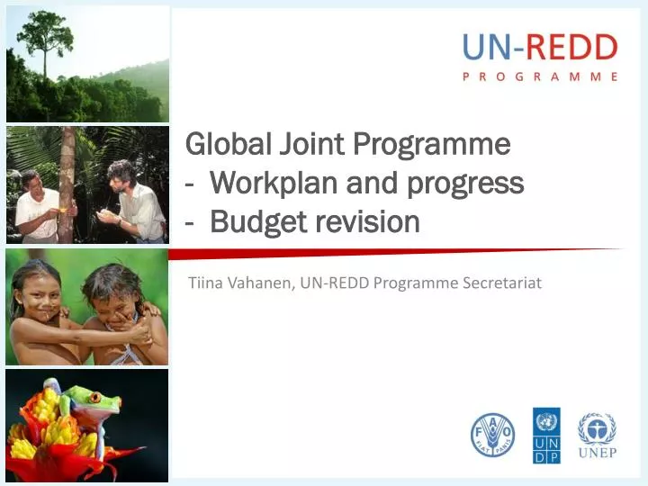 global joint programme workplan and progress budget revision