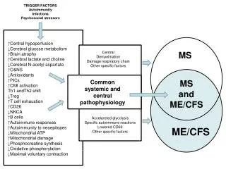Systemic IO&amp;NS pathways in Inflammation CMI activation