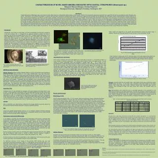 CHARACTERIZATION OF NOVEL NAKED AMOEBA ASSOCIATED WITH COASTAL CTENOPHORES ( Mnemiopsis sp. )