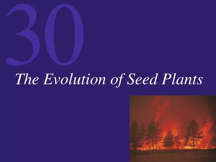 the evolution of seed plants