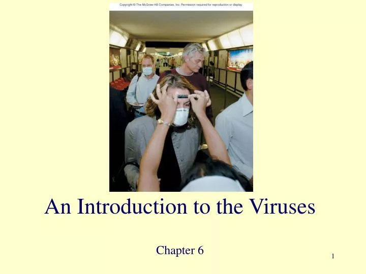 an introduction to the viruses