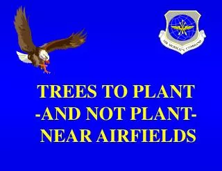 TREES TO PLANT -AND NOT PLANT- NEAR AIRFIELDS