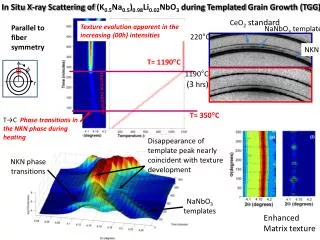 Texture evolution apparent in the increasing {00h} intensities