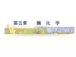 第五章 酶 化 学 - slide 1