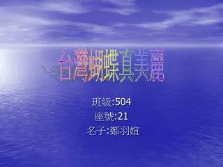 504 21