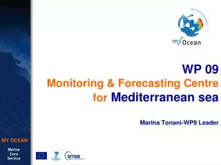 WP 09 Monitoring &amp; Forecasting Centre for Mediterranean sea Marina Tonani-WP9 Leader