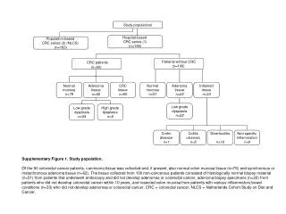 Study populations