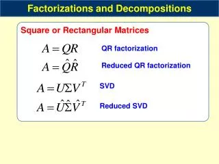 Square or Rectangular Matrices